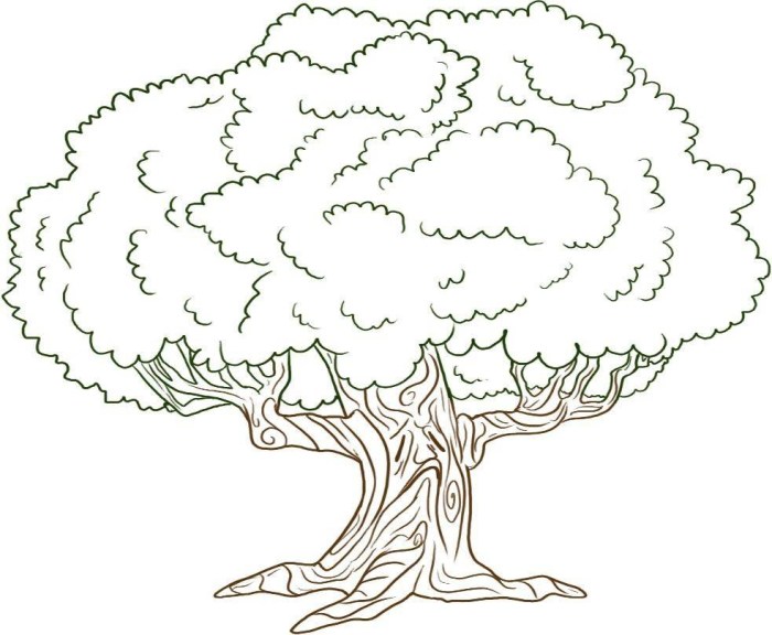 Coloring book tree for kids