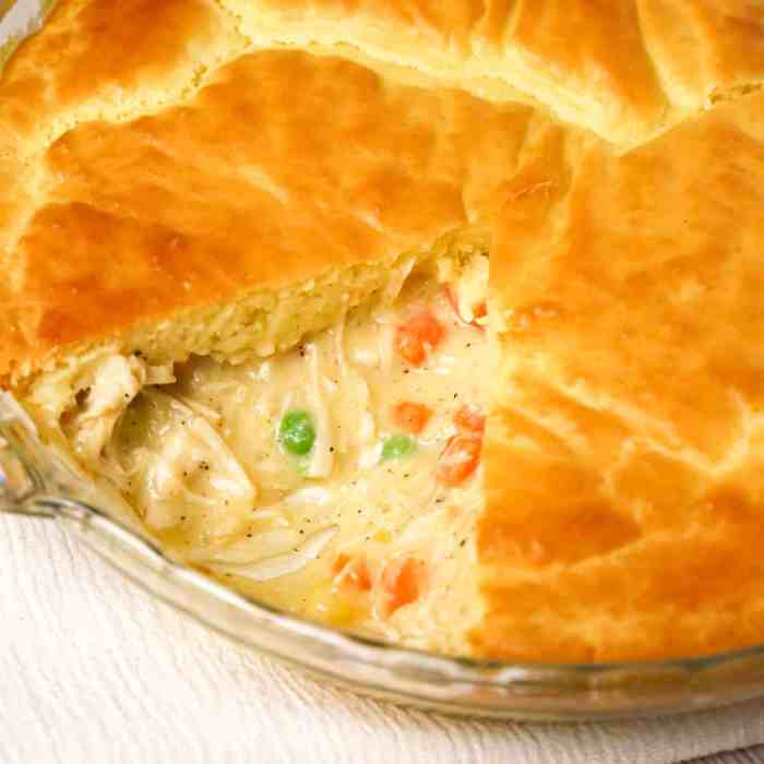 Pot pie recipe with cream of chicken soup